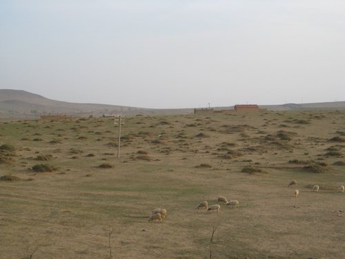 IMG_4326.JPG