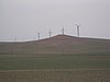 IMG_4331.JPG