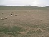 IMG_4332.JPG