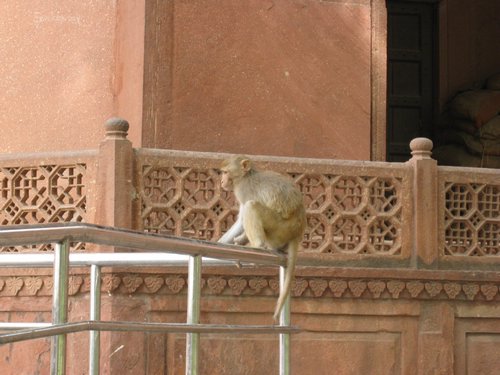 IMG_6108.JPG
