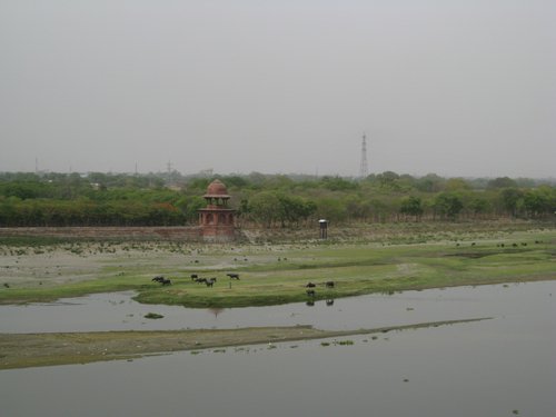 IMG_6113.JPG