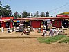 IMG_2309.JPG
