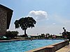 IMG_3204.JPG