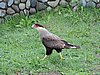 DSCN8038.JPG