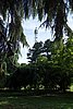 DSC08440.JPG