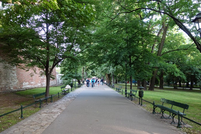 DSC00049.JPG
