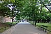 DSC00049.JPG