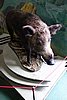 DSC09422.JPG
