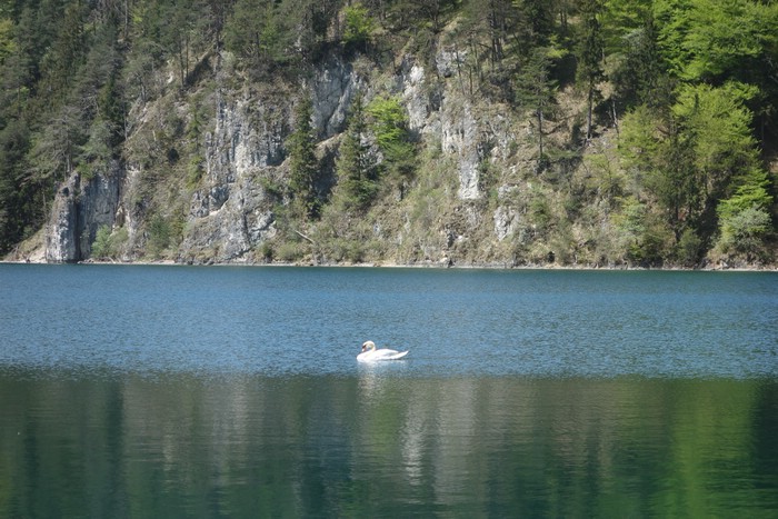 DSC09735.JPG