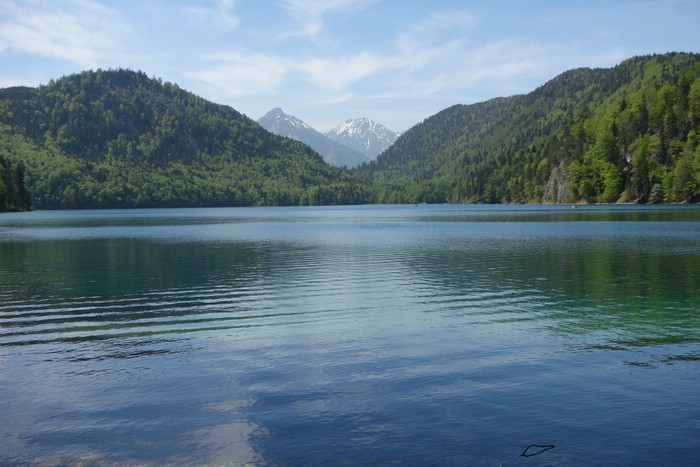 DSC09736.JPG