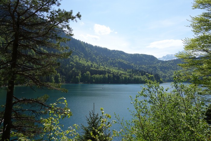 DSC09745.JPG