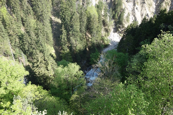 DSC09764.JPG