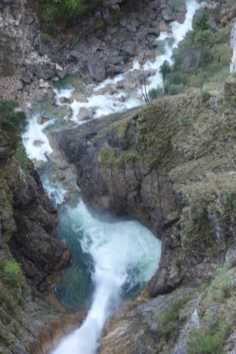 DSC09788.JPG