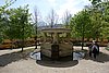 DSC09758.JPG