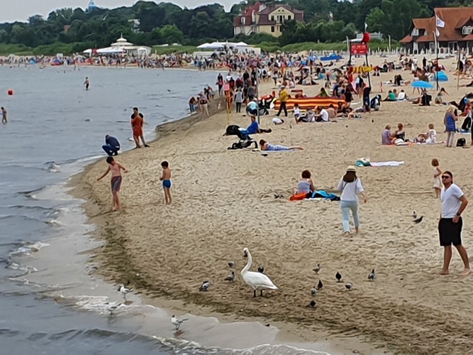 20190724_142744.jpg