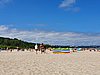 20190725_124543.jpg