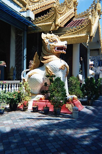 img537.jpg