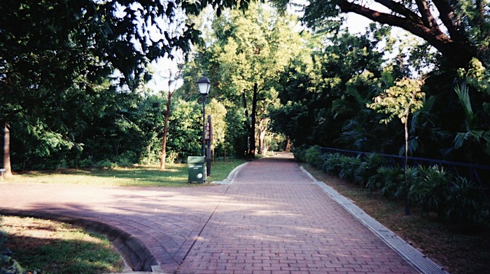 img545.jpg