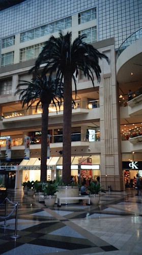 img548.jpg