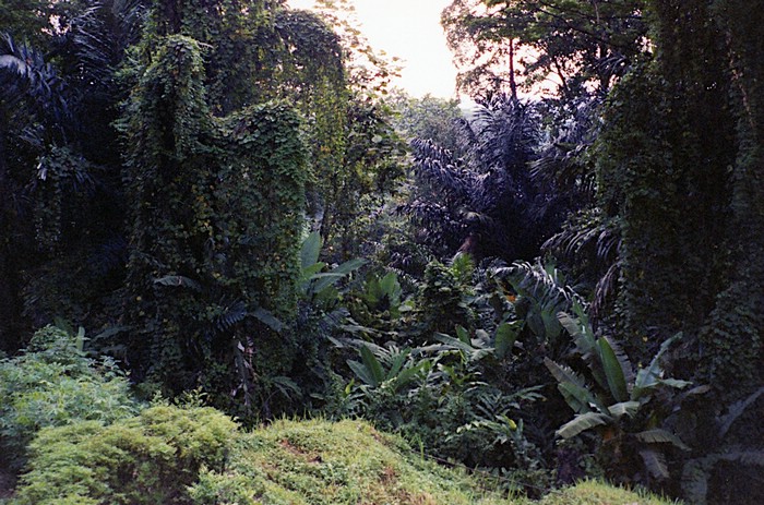 img658.jpg