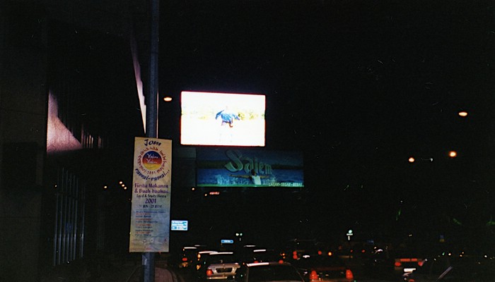img665.jpg