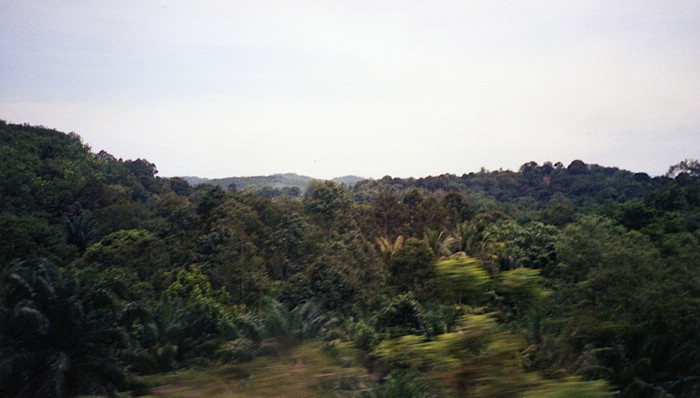 img666.jpg