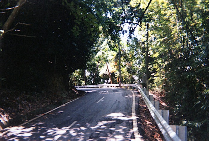 img669.jpg