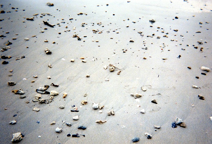 img682.jpg