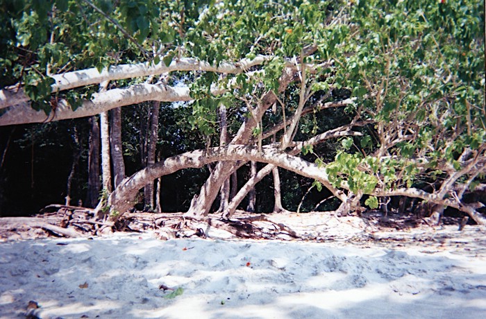 img686.jpg