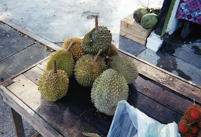 img710.jpg