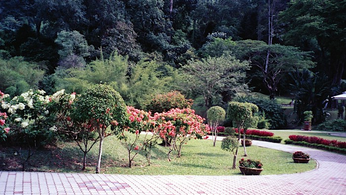 img714.jpg