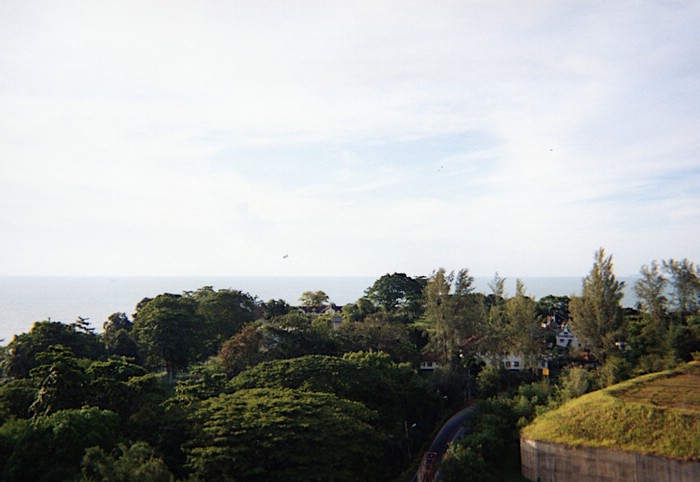 img719.jpg