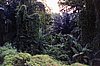 img658.jpg