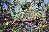 img685.jpg