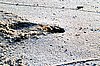 img688.jpg
