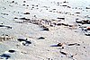 img689.jpg