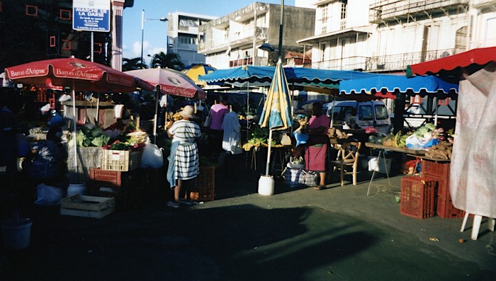 img558.jpg