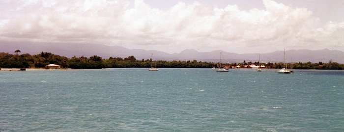 img728.jpg