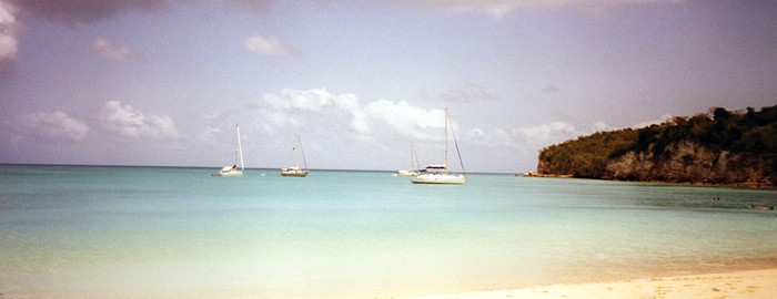 img729.jpg