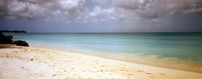 img730.jpg