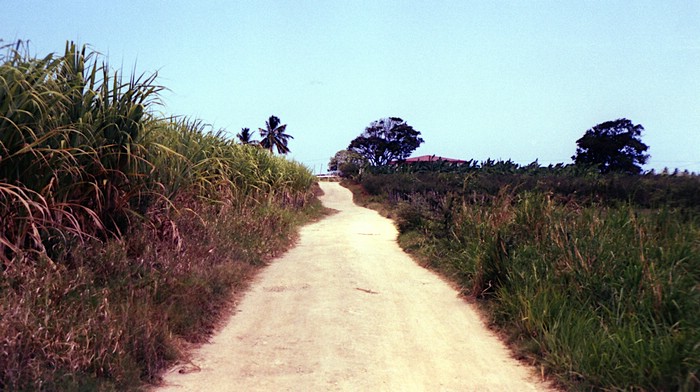 img733.jpg