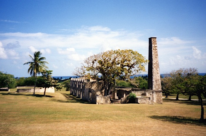 img735.jpg