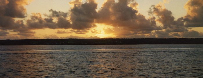 img736.jpg
