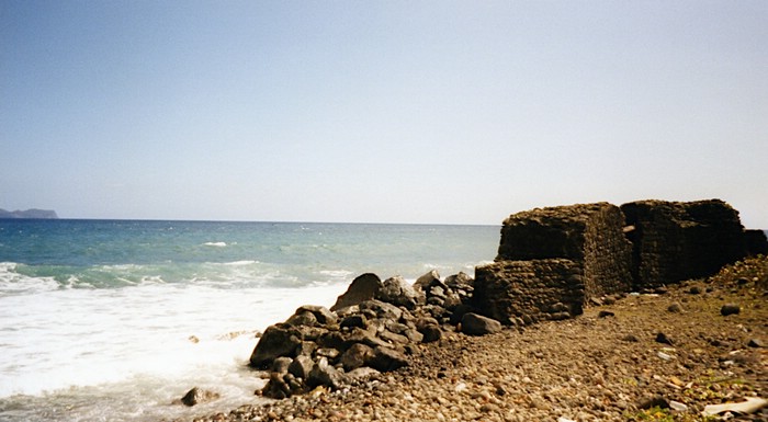 img738.jpg