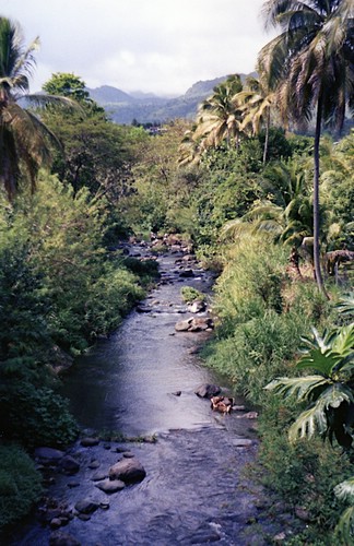 img739.jpg