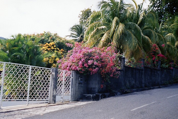 img740.jpg
