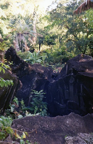 img743.jpg