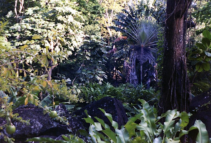 img745.jpg