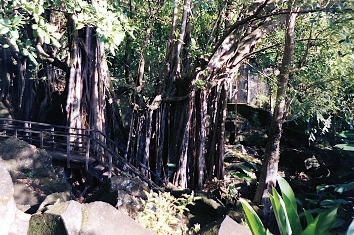 img746.jpg