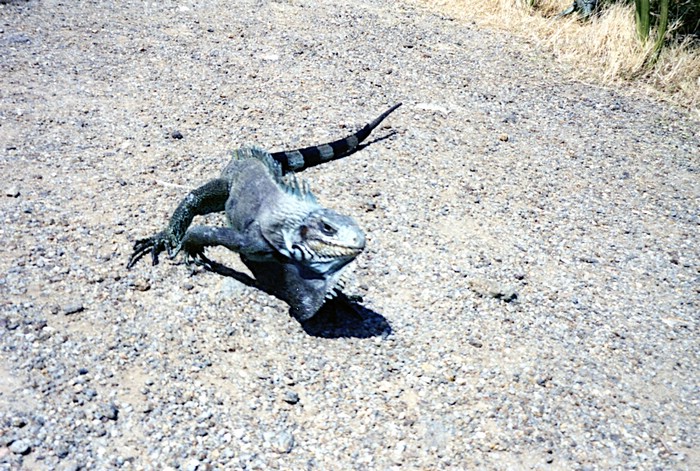 img753.jpg